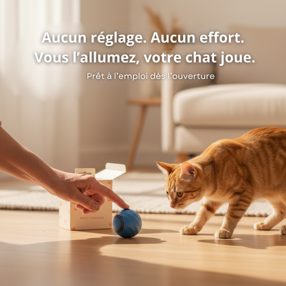 Fini les griffures : une boule qui occupe votre chat sans vous