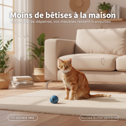 Fini les griffures : une boule qui occupe votre chat sans vous