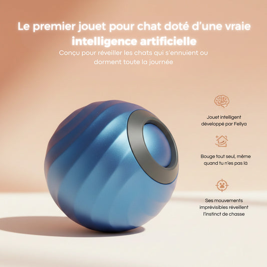 Fellya – La Boule Chasseuse