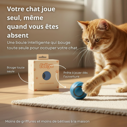 Image hero avec nouveau packaging Fellya